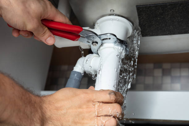 Best Local water damage restoration  in Beecher, IL