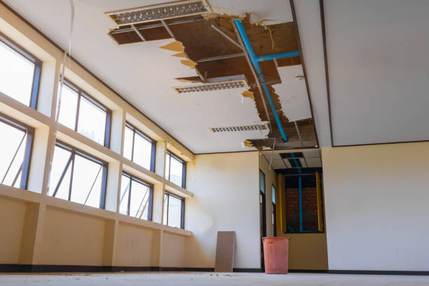 Beecher, IL Water damage restoration Company