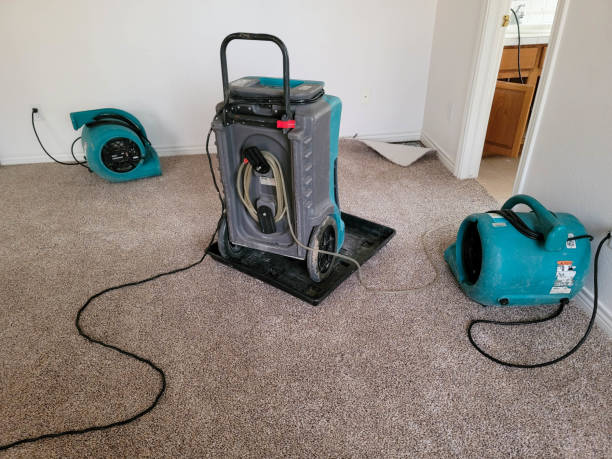 Best Carpet water damage restoration  in Beecher, IL