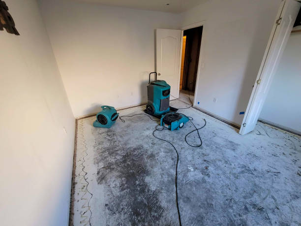 Best Fire Damage Restoration  in Beecher, IL