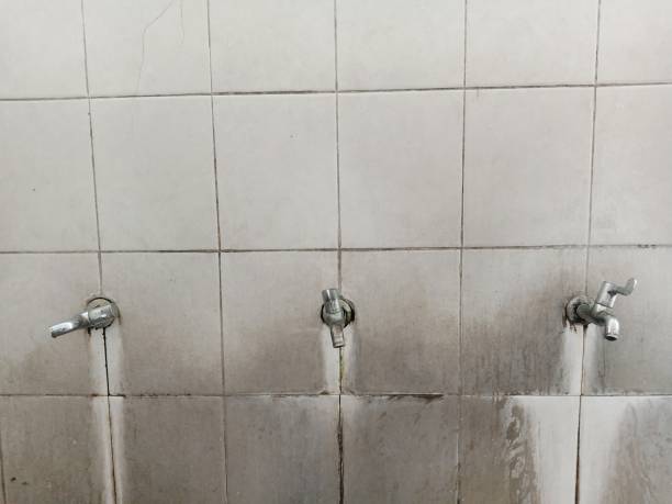 Best Water damage contractors near me  in Beecher, IL