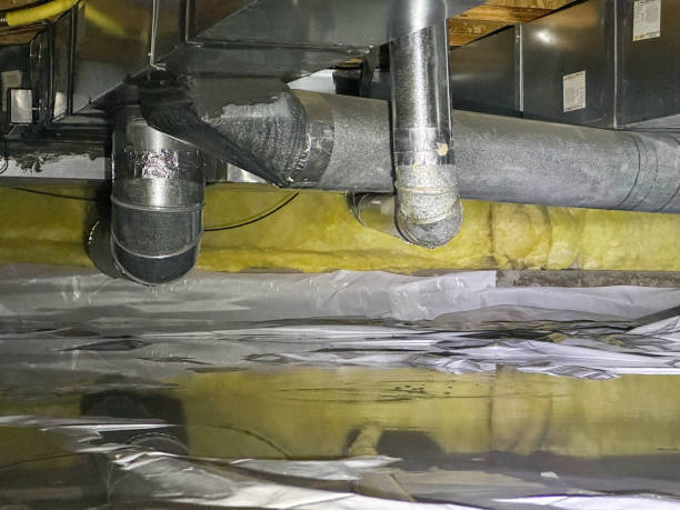 Best Emergency water damage restoration  in Beecher, IL
