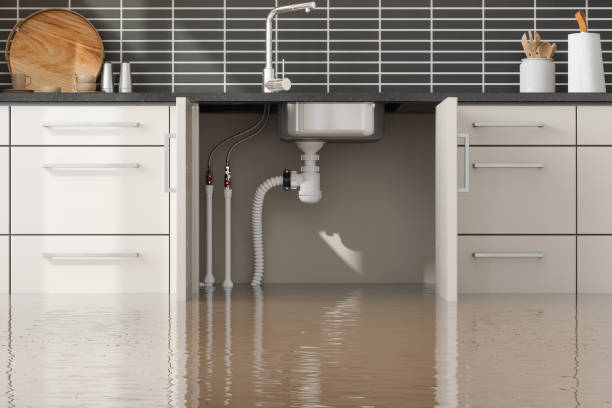 Best Water damage restoration insurance claims  in Beecher, IL