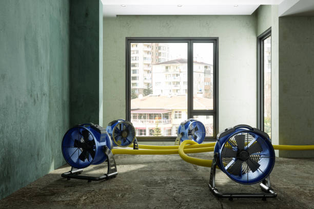 Best Water damage restoration services  in Beecher, IL