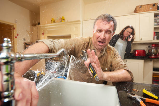 Best Ceiling water damage repair  in Beecher, IL